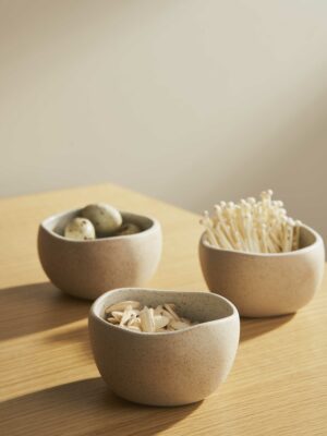 Garden to Table Dip Bowls / Set of 3