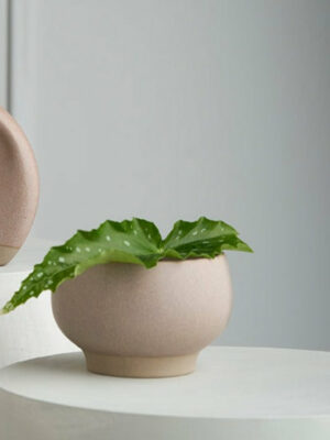 Ikebana Vase / Marle Blush