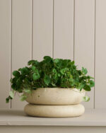 Wide Cloud Planter / White Speckle