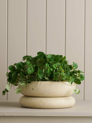 Wide Cloud Planter / White Speckle