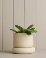 Small Cloud Planter / White Speckle