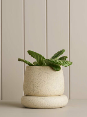 Small Cloud Planter / White Speckle