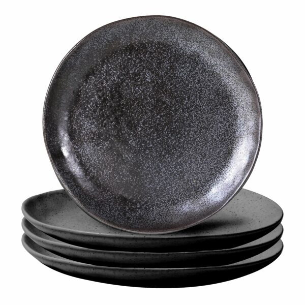 Earth Dinner Plates / Black